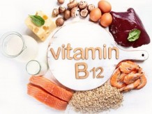 Vitamin B12 có nhiều trong thực phẩm nào
