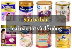 Top 7 loại sữa dành cho bà bầu tốt nhất, dễ uống giúp mẹ con khỏe mạnh