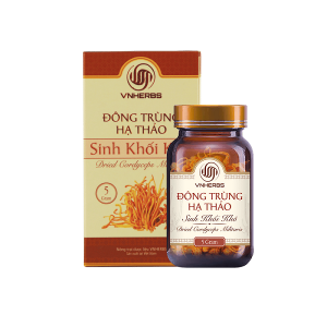 Đông Trùng Hạ Thảo Sinh Khối Khô VnHerbs