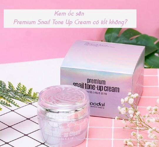 Kem Premium Snail Tone Up Cream có tốt không