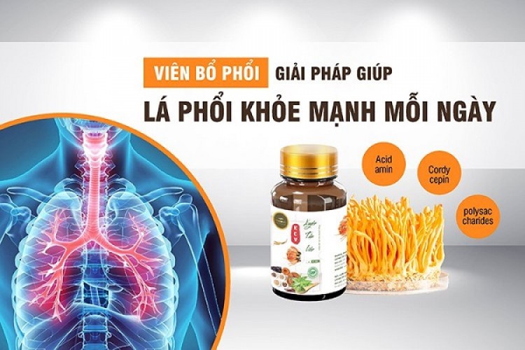 Thuốc bổ phổi là gì? Top 5+ loại thuốc bổ phổi tốt nhất nên dùng 