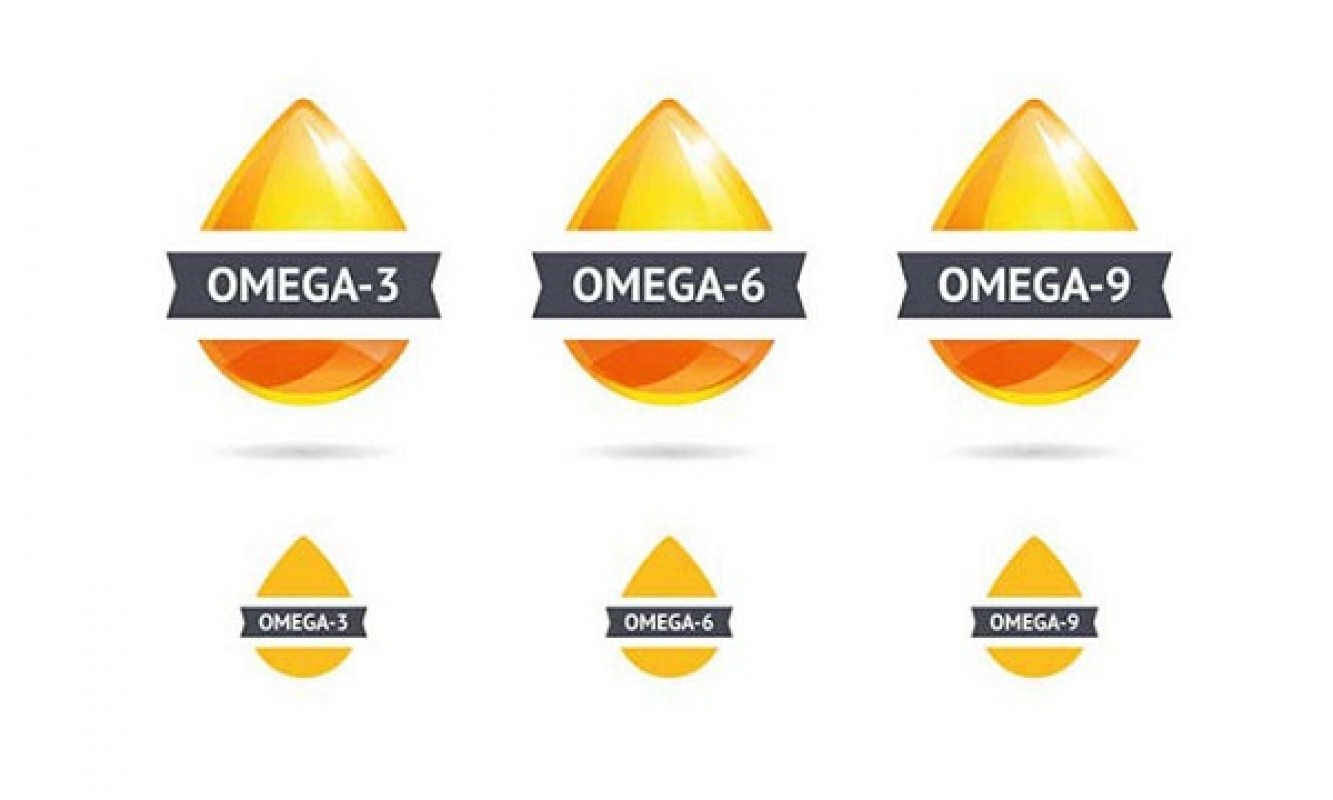 So Sánh Omega 3 Và Omega 369: Nên Sử Dụng Omega 3 Hay Omega 369