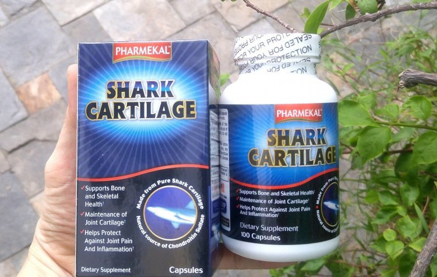 Viên Uống Pharmekal Shark Cartilage Của Mỹ