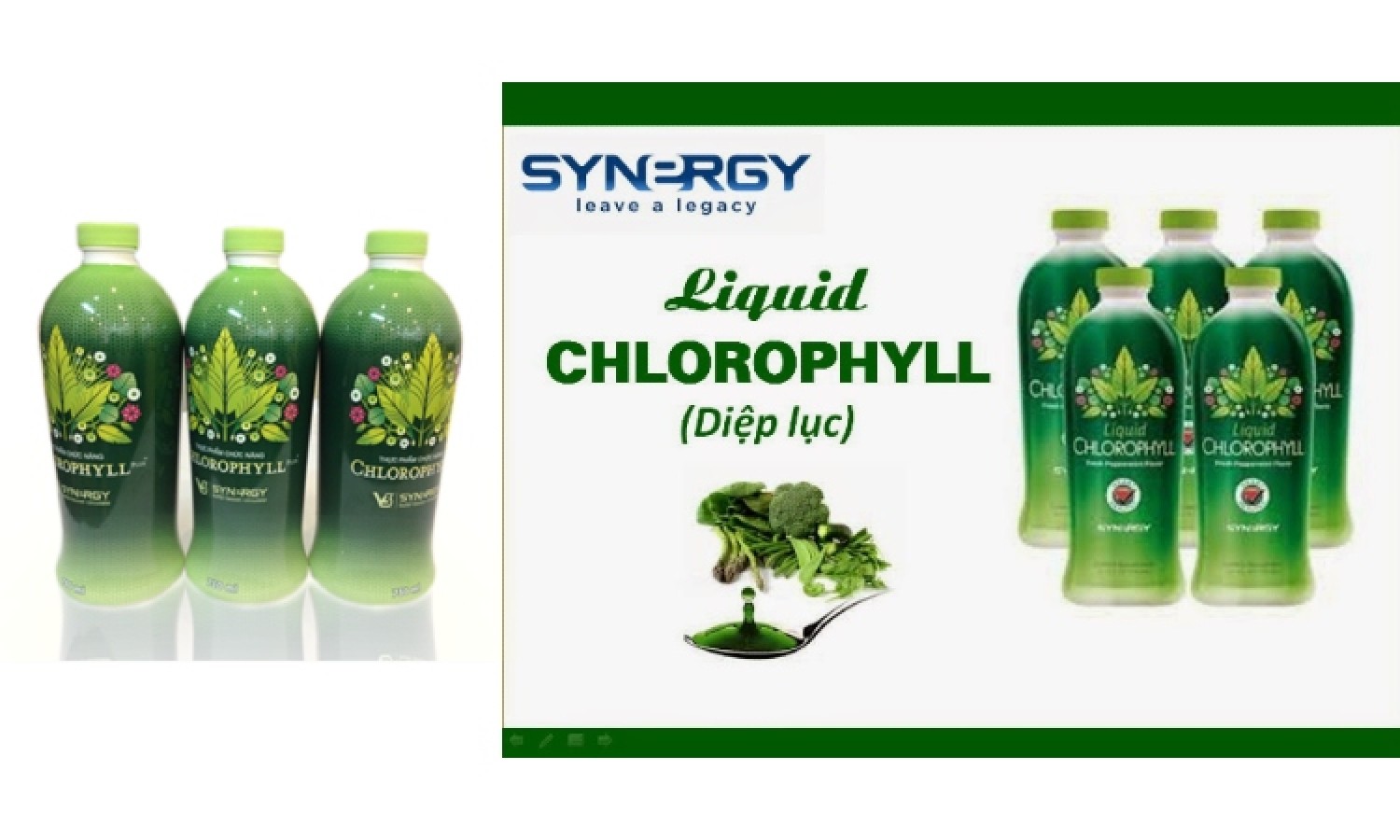 Nước Diệp Lục Chlorophyll Synergy‎ 750ml Của Mỹ