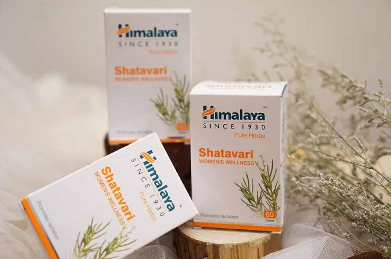 Viên Uống Himalaya Shatavari Lợi Sữa, Điều Hòa Nội Tiết Tố Nữ