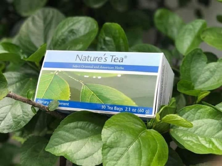 Trà thảo mộc thải độc Nature's Tea