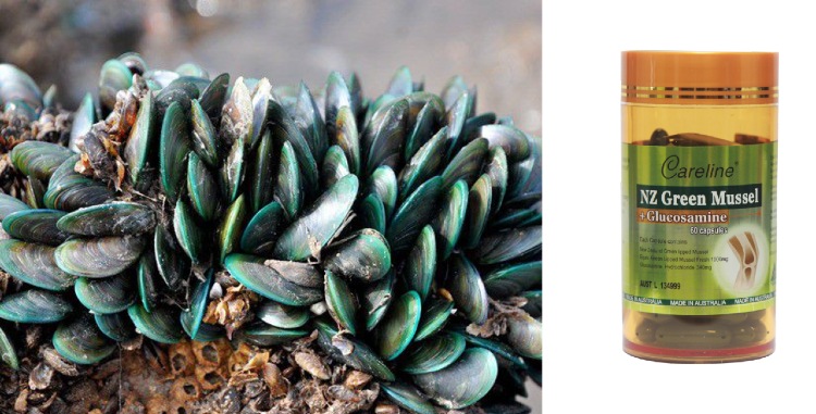 Careline NZ Green Mussel, bổ xương khớp Careline NZ Green Mussel