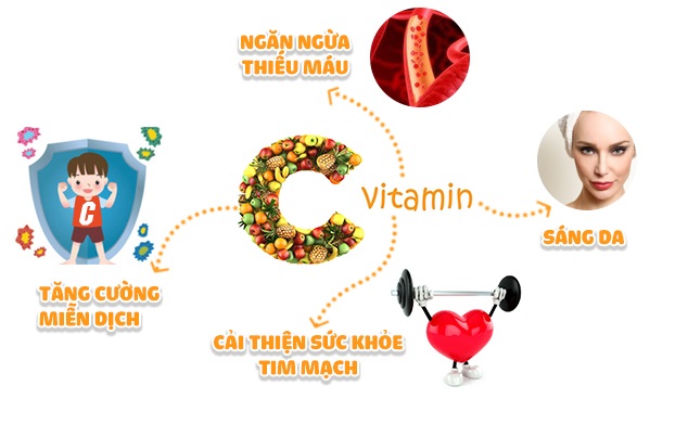 Vitamin C, công dụng của vitamin c
